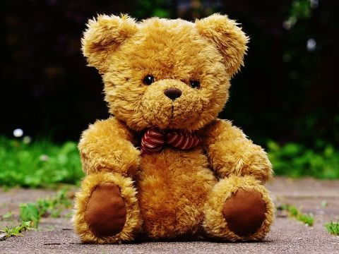 brauner Teddybär sitzend auf einem Weg