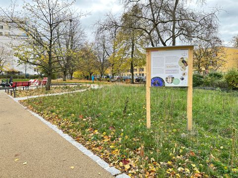 Infotafel zur Blühwiese auf der erneuerten Grünfläche an der Gänseplastik in Buch