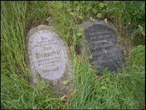 Grabsteine von Wolf und Gustav Blumenthal auf dem Friedhof Egeln.
