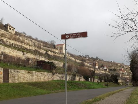 Schweigenberge in Freyburg