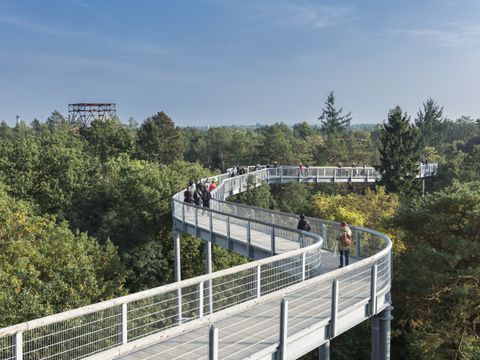 Hoch über den Wipfeln der Baumkronenpfad in Beelitz-Heilstätten