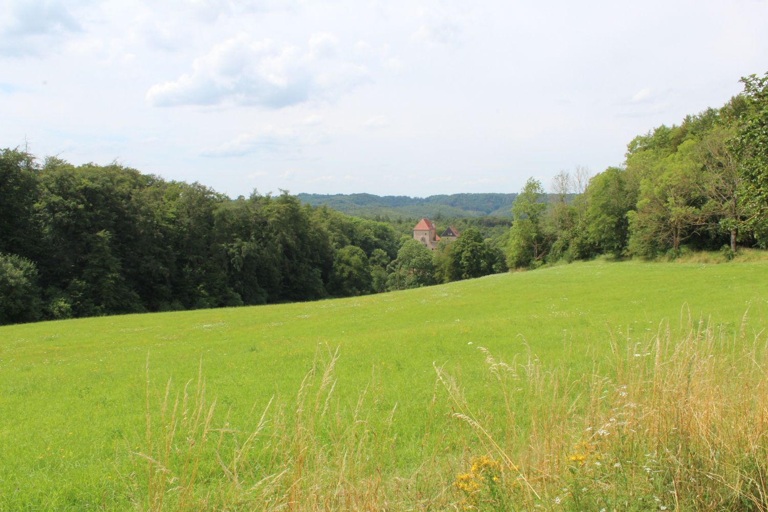 Im Herzen des Richelsdorfer Gebirges: Der 8 km lange "Premiumweg" P 18 führt rund um die Burg Tannenberg, Nentershausen