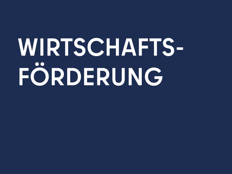 Wirtschafts­förderung