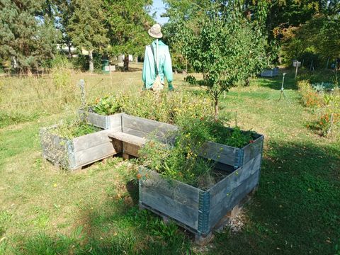 Bildvergrößerung: Eindrücke der Gartenarbeitsschule Reinickendorf