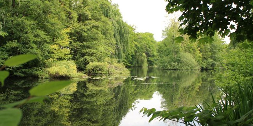 Hubertussee Sommer