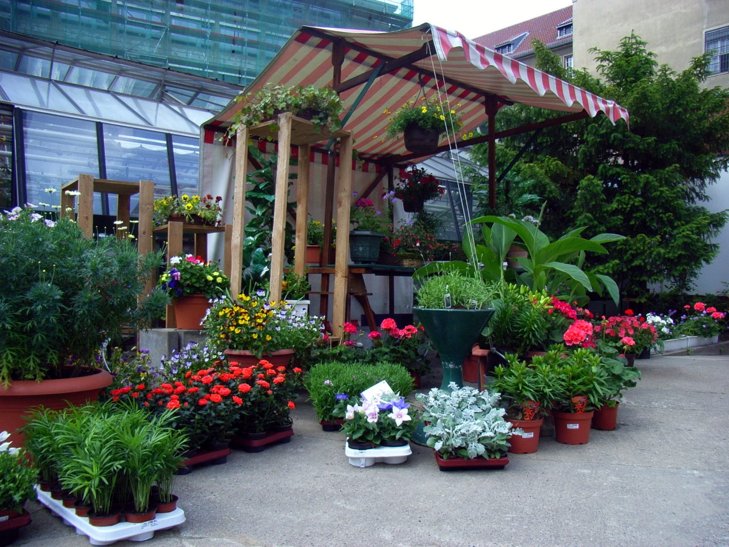 Stand mit Blumen