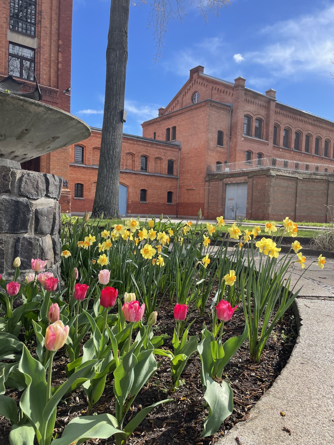 Frühlingsblumen vor einem Gefangenenhaus