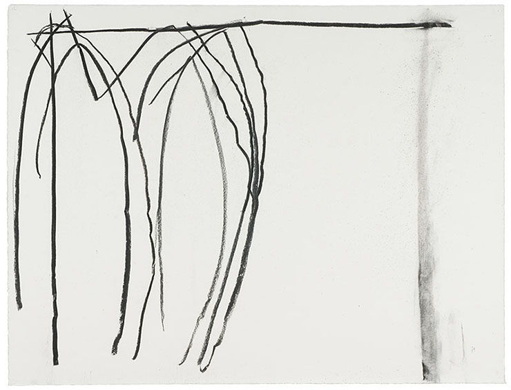 Sam Szembek: Ohne Titel · 2014 · Kohle auf Papier · 79,0 x 98,0 cm | Werkaufnahme: Uwe Seyl
