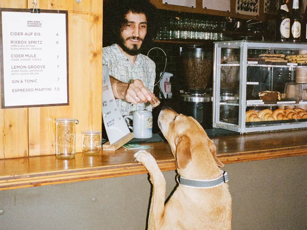 Ein Hund steht an einer Theke und bekommt vom Mitarbeiter ein Leckerli überreicht.