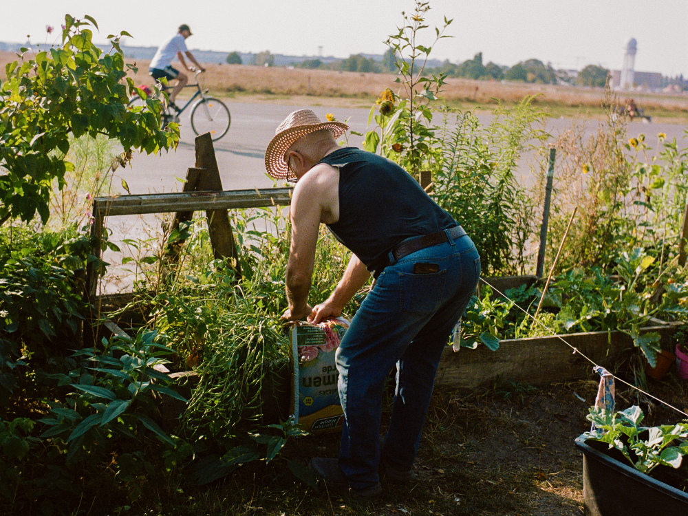 Ein Mann mit Sonnenhut pflegt ein Beet in einem Gemeinschaftsgarten. Die Szene unterstreicht das Engagement für Urban Gardening und lokale Lebensmittelproduktion.