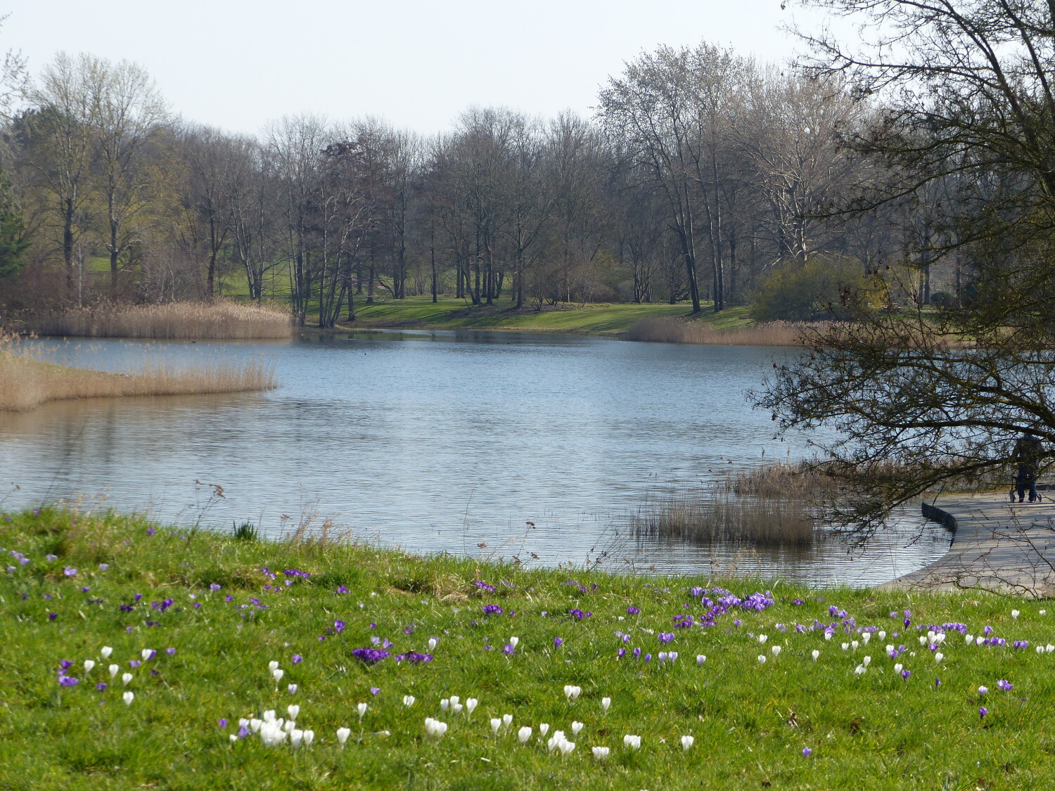 Britzer Garten: Frühjahrsimpressionen