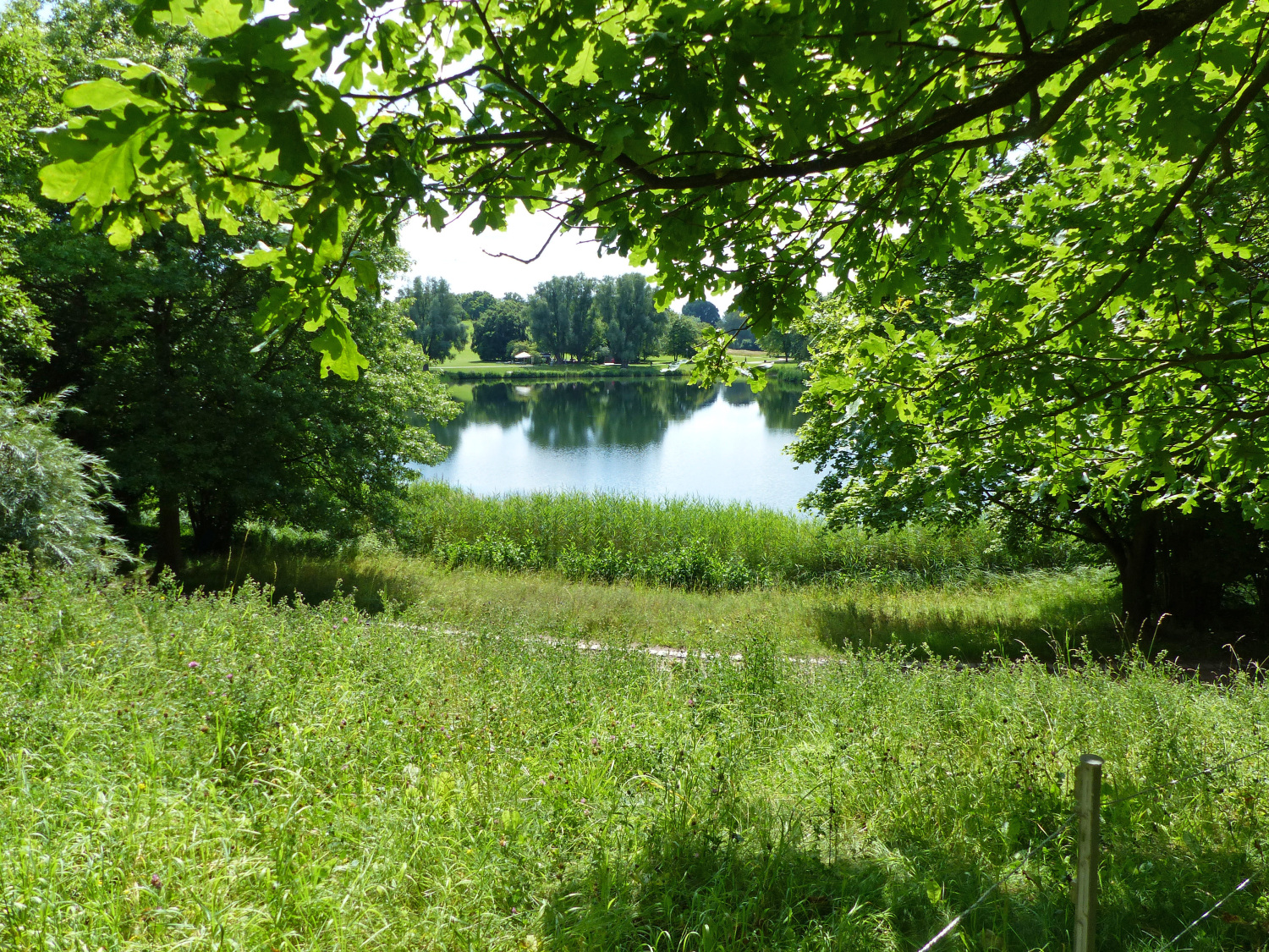 Der See im Britzer Garten