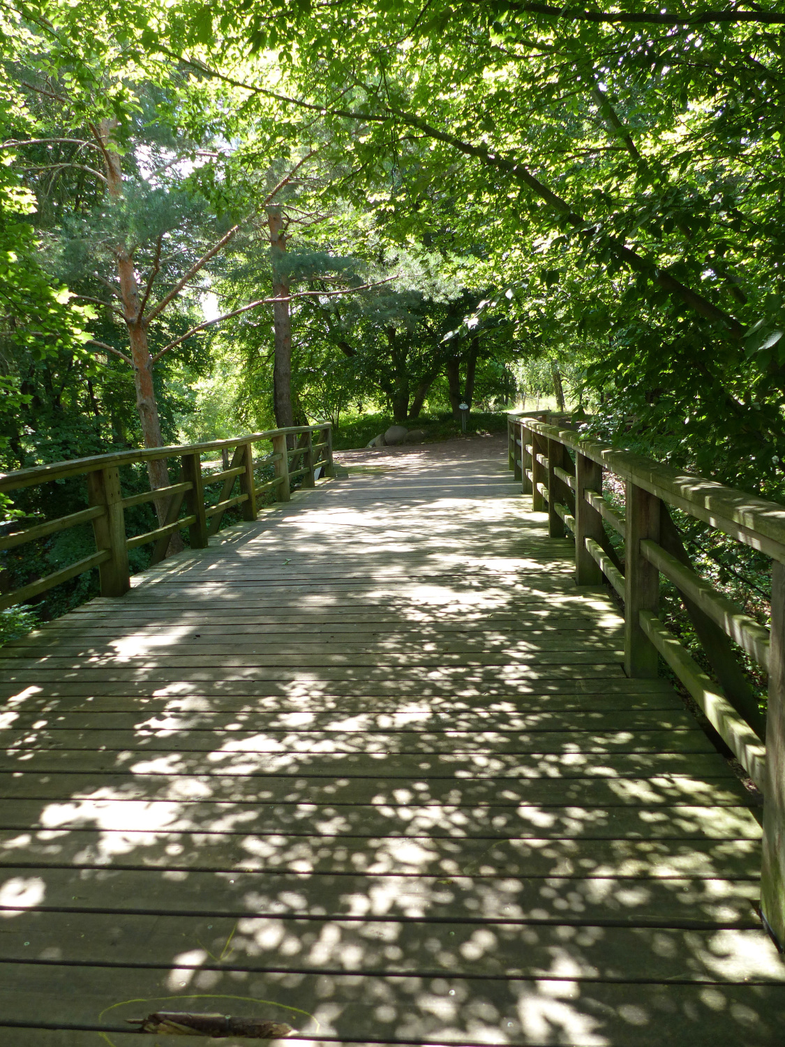 Sommerimpressionen im Britzer Garten