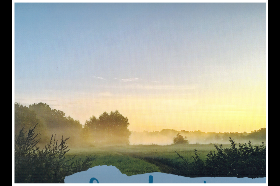 Morgenstimmung im Kaulsdorfer Busch