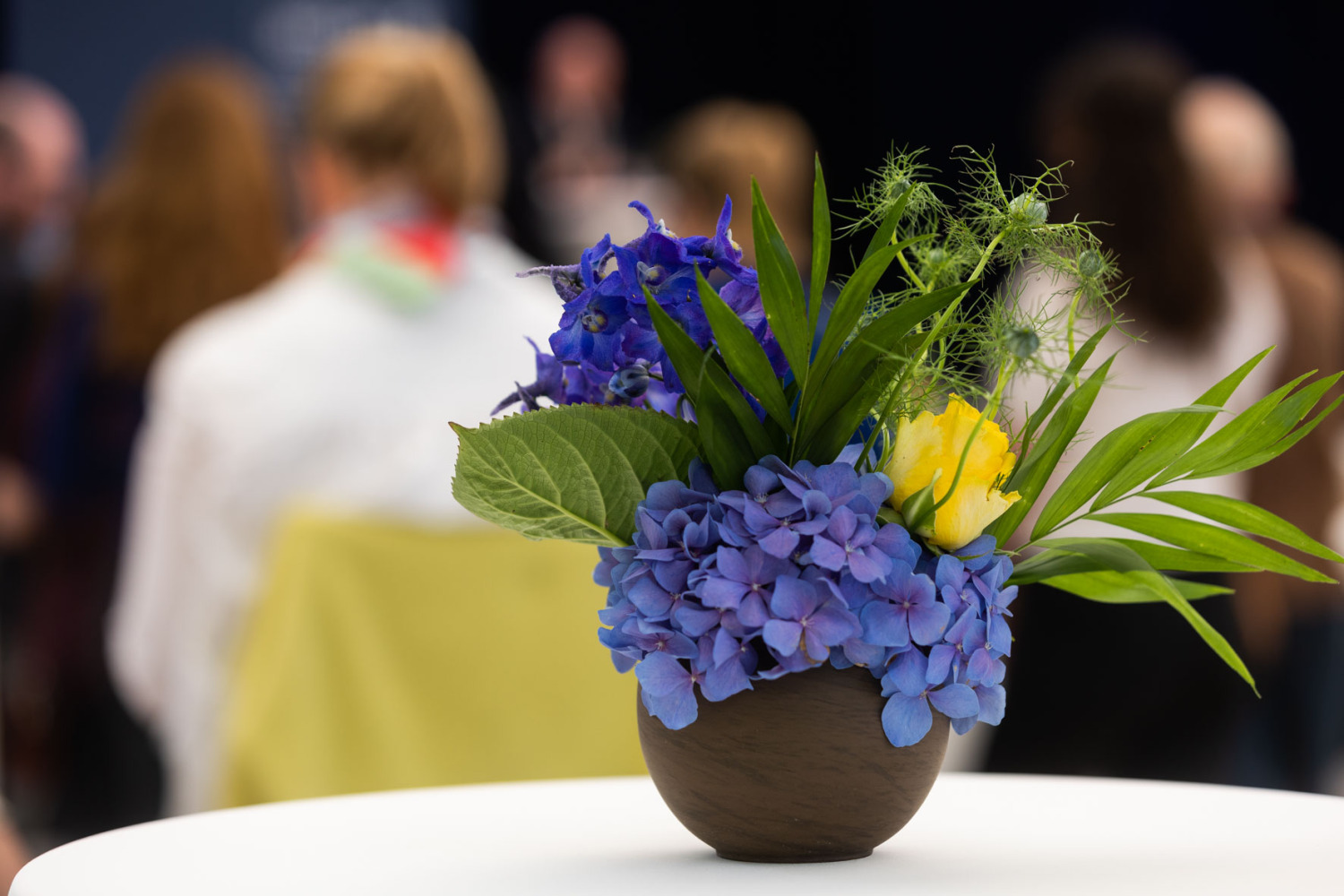 Blaugelbe Blumen im Topf