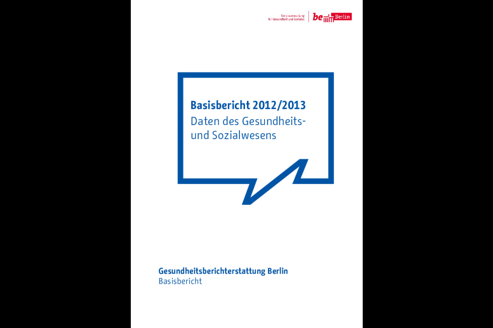 Basisbericht 2012/2013, Daten des Gesundheits- und Sozialwesens