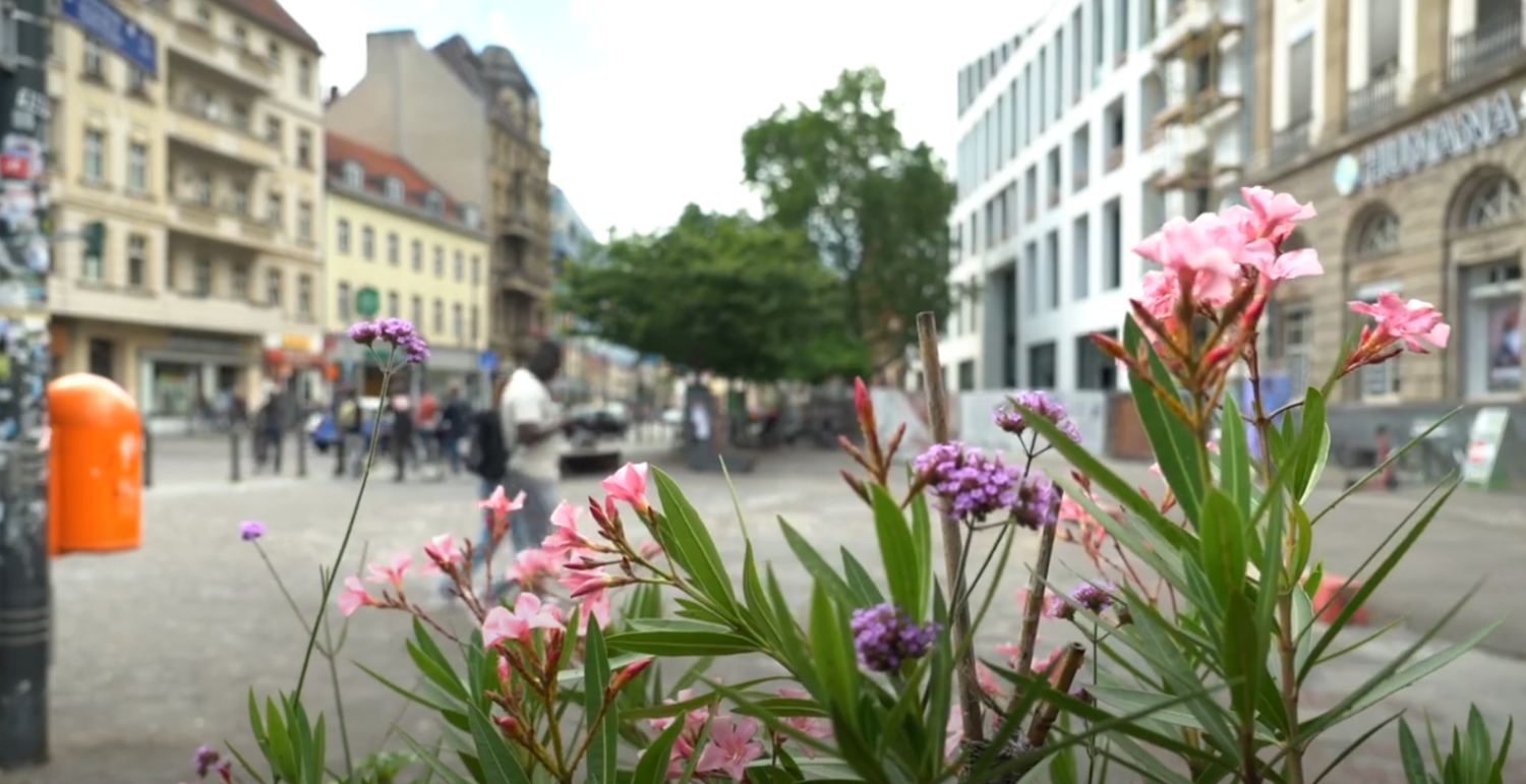 Vorschau Regenwassermanagement Alfred Scholz Platz