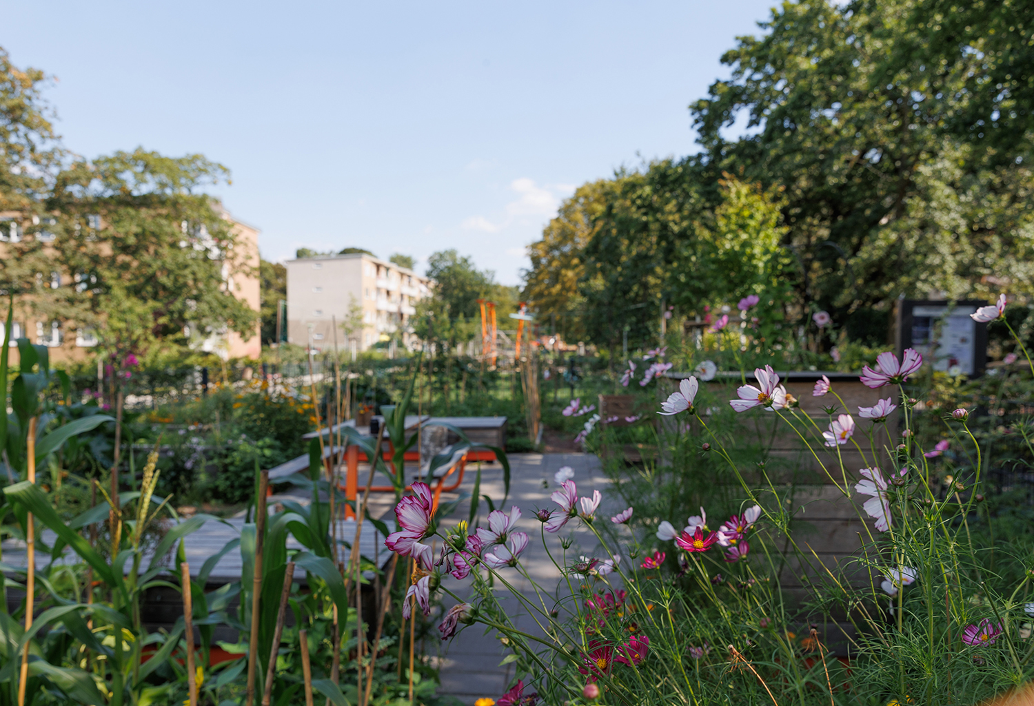 Biodiversität am Bürgergarten