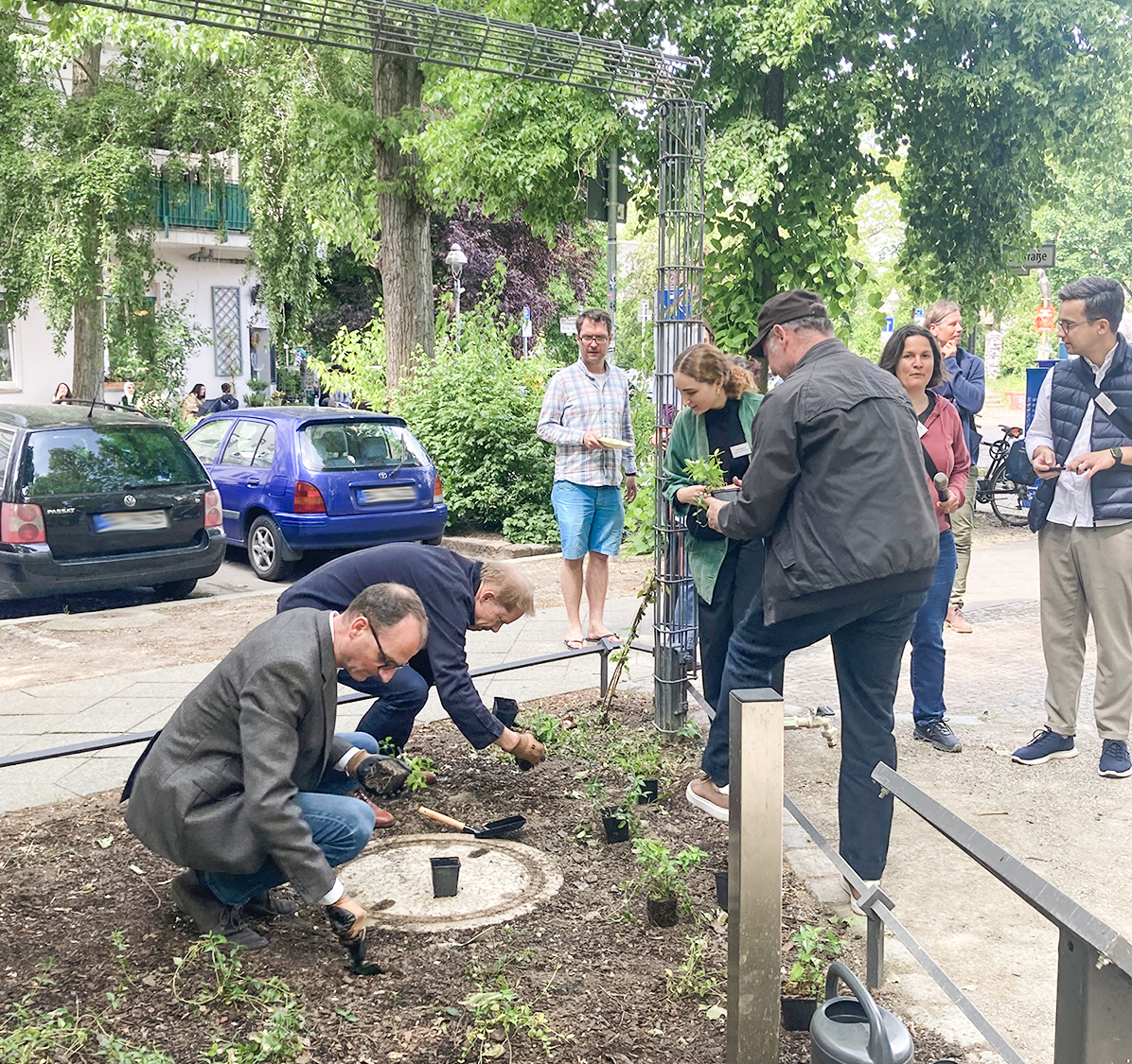 Dr. Lang und Ephraim Gothe pflanzen an der Bremer Straße das Kleine Immergrün