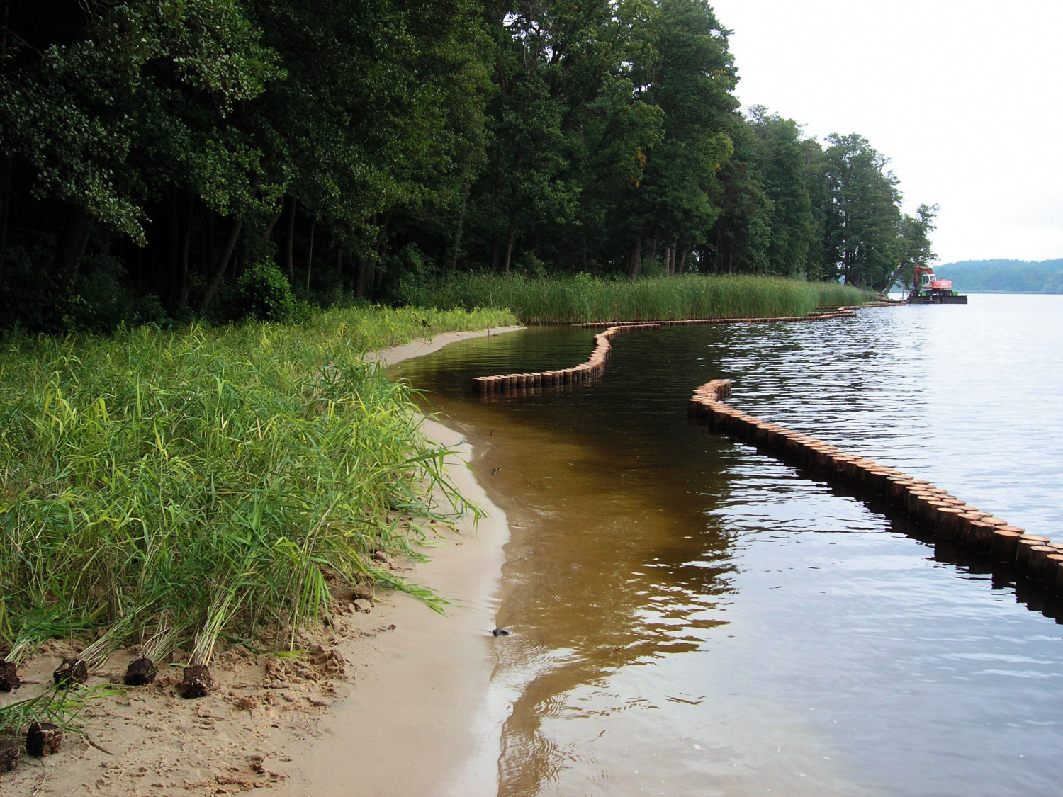 Röhrichtschutz am Seddinsee sorgt für gute Wasserqualität.
