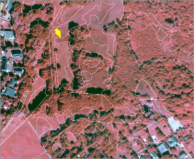 CIR-Luftbildausschnitt mit überlagerten Biotoptypen-Flächenbiotopen (Pfeil: Blickrichtung Geländefoto)