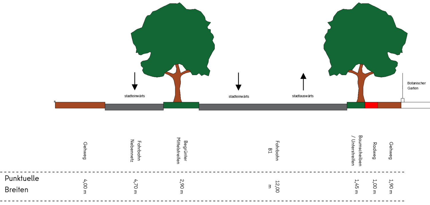 Bestandsquerschnitt 2 zwischen Waetzoldstraße und Wildenowstraße