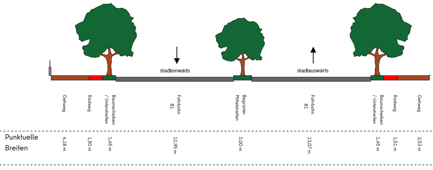 Bestandsquerschnitt 5 zwischen Rudeloffweg und Thielallee