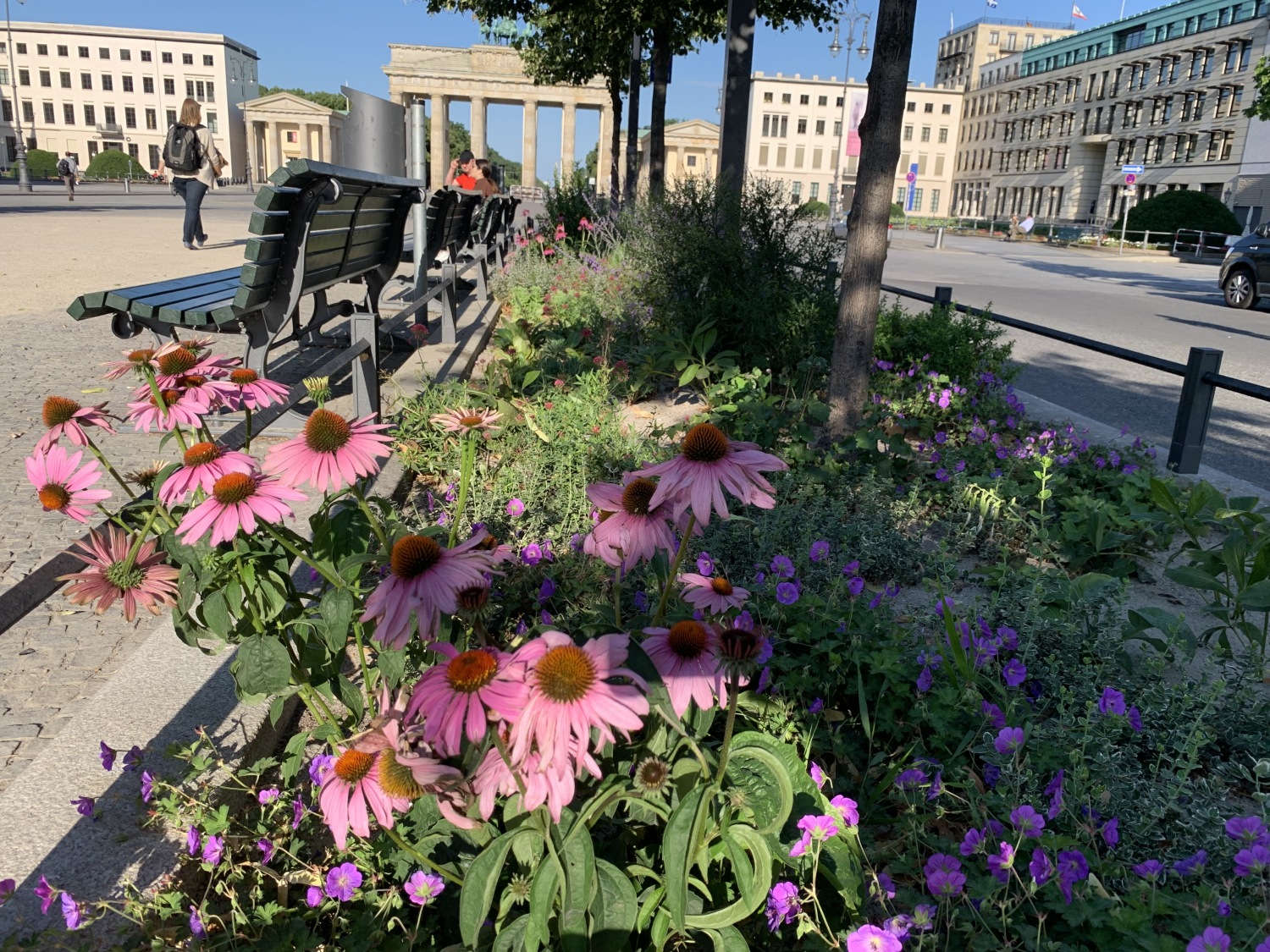 Referenzfläche vor dem Adlon