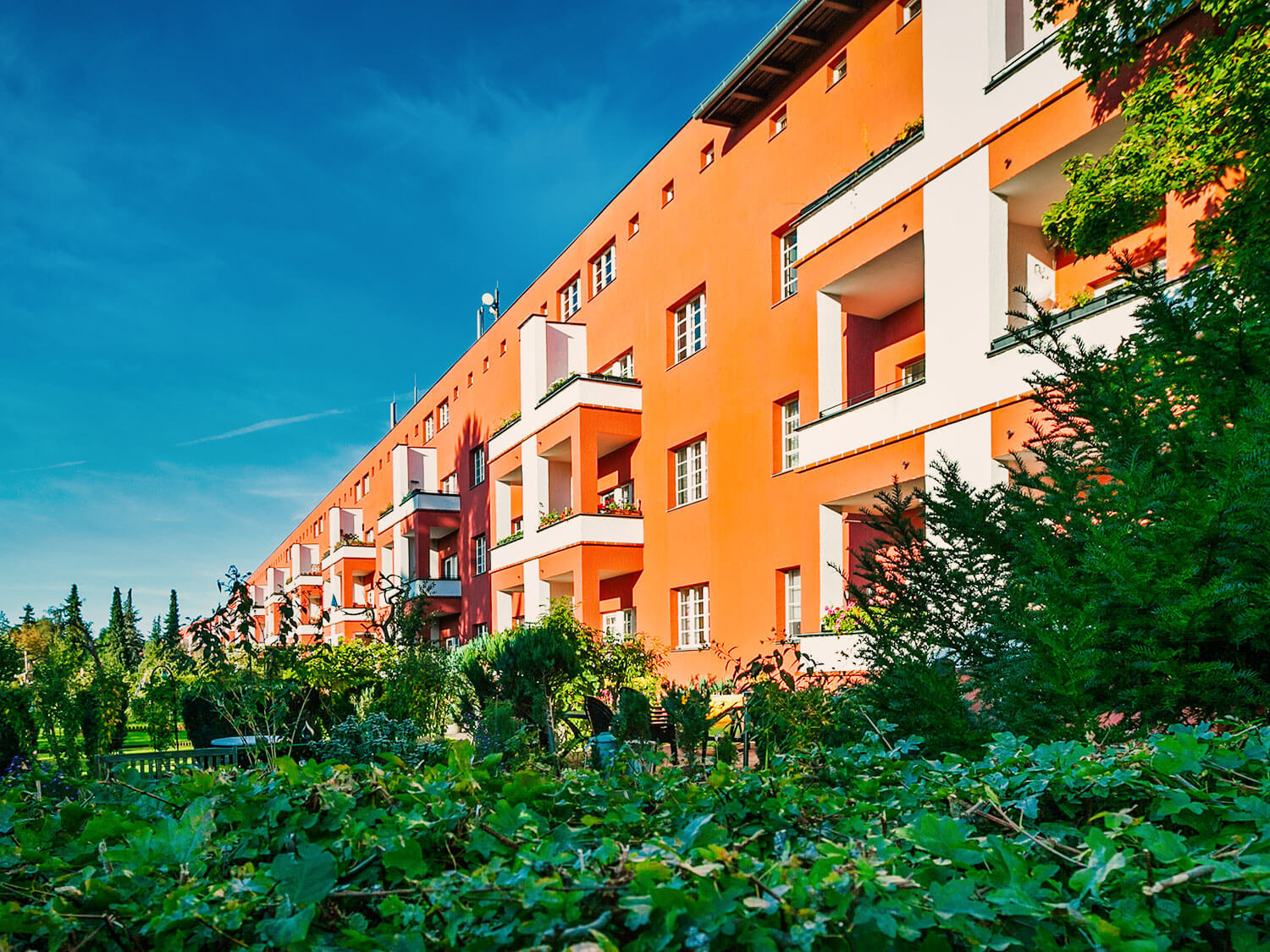 Im Vordergrund dunkelgrüne Büsche, die eine Hecke bilden. Dahinter ein Haus mit einer orangenen Fassade und weißen Akzenten 